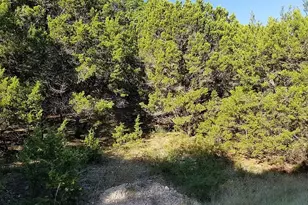 21003 Stone Cliff Dr, Lago Vista, TX 78645 - Photo 1