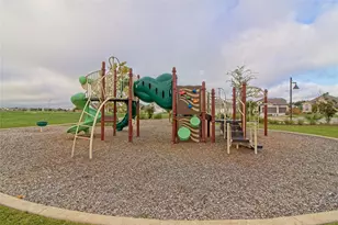 555 White Steppe Way, Georgetown, TX 78626 - Photo 32