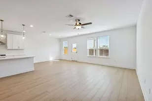 16805 Catemaco Walk, Manor, TX 78653 - Photo 12