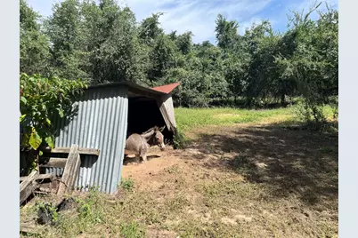 354 Lower Red Rock Road, Bastrop, TX 78602 - Photo 32