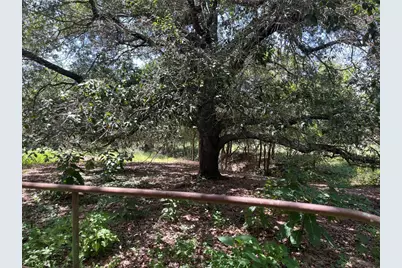 354 Lower Red Rock Road, Bastrop, TX 78602 - Photo 22