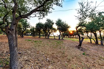 20105 W Lake Parkway, Georgetown, TX 78628 - Photo 6