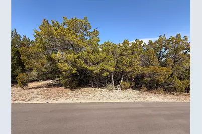 20206 Lee Lane, Lago Vista, TX 78645 - Photo 1