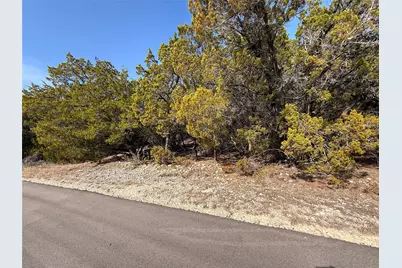 20206 Lee Lane, Lago Vista, TX 78645 - Photo 2