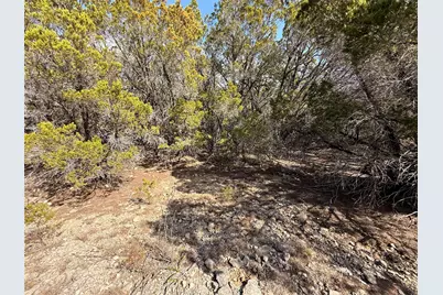 20206 Lee Lane, Lago Vista, TX 78645 - Photo 4