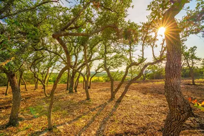 [Address not provided], Dripping Springs, TX 78676 - Photo 1