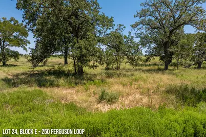 250 Ferguson Loop, Dale, TX 78616 - Photo 2