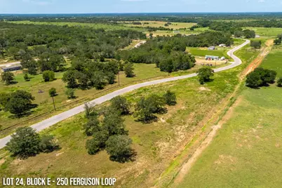 250 Ferguson Loop, Dale, TX 78616 - Photo 8