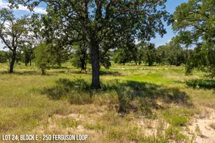 250 Ferguson Loop, Dale, TX 78616 - Photo 1