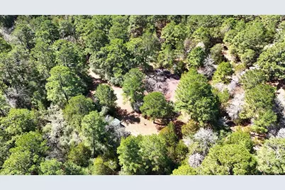 500 Pine Valley Loop, Smithville, TX 78957 - Photo 20