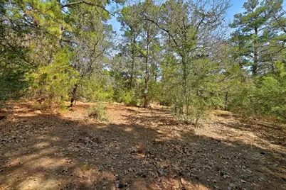 500 Pine Valley Loop, Smithville, TX 78957 - Photo 14