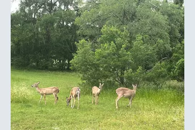 3400 Deer Trail, Georgetown, TX 78628 - Photo 38