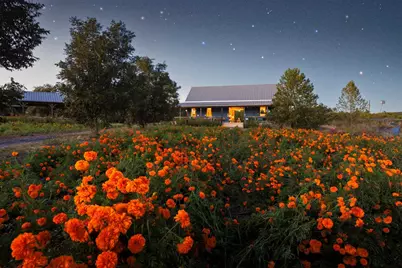 13977 Fm 2325, Blanco, TX 78606 - Photo 14