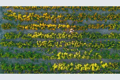 13977 Fm 2325, Blanco, TX 78606 - Photo 28