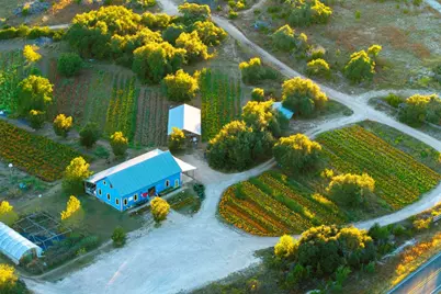 13977 Fm 2325, Blanco, TX 78606 - Photo 4