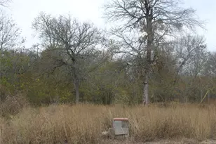 3816 Fm 1854, Dale, TX 78616 - Photo 20