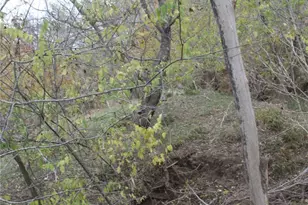 3816 Fm 1854, Dale, TX 78616 - Photo 16