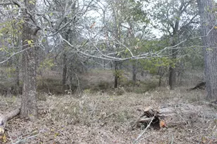 3816 Fm 1854, Dale, TX 78616 - Photo 22