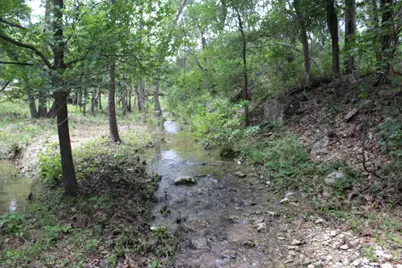 17234 E Reed Parks Road, Jonestown, TX 78645 - Photo 14