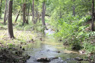17234 E Reed Parks Rd, Jonestown, TX 78645 - Photo 4