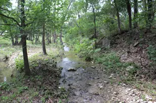 17234 E Reed Parks Rd, Jonestown, TX 78645 - Photo 26