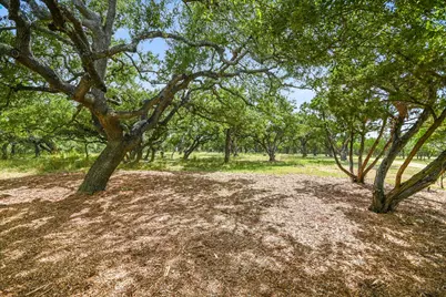 900 Longhorn Trail, Wimberley, TX 78676 - Photo 18