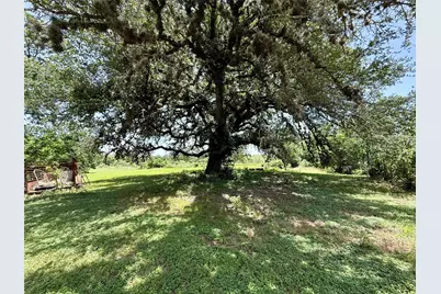 1629 Pecos Street, Lockhart, TX 78644 - Photo 18