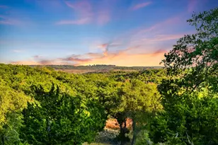 1984 Divide Pass, Blanco, TX 78606 - Photo 28
