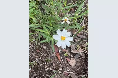 16205 Big Oak Circle, Leander, TX 78641 - Photo 20