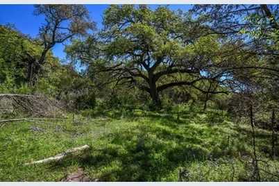 16205 Big Oak Circle, Leander, TX 78641 - Photo 14