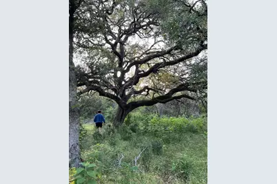 16205 Big Oak Circle, Leander, TX 78641 - Photo 18