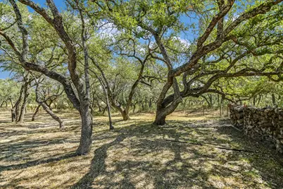 878 Ranch Road 2766, Johnson City, TX 78636 - Photo 10
