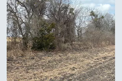 Tbd Fm 3061, Thorndale, TX 76577 - Photo 4
