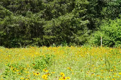 5857 Cr 322, Rockdale, TX 76567 - Photo 30