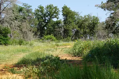 5857 Cr 322, Rockdale, TX 76567 - Photo 22