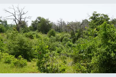 5857 Cr 322, Rockdale, TX 76567 - Photo 10