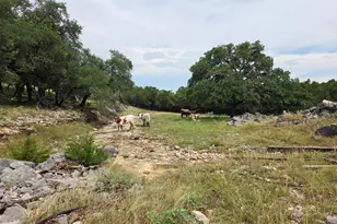 27846 Natural Bridge Caverns Rd, San Antonio, TX 78266 - Photo 4