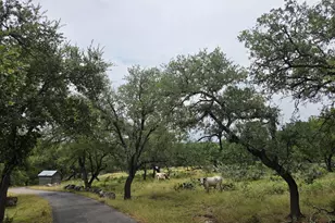 27846 Natural Bridge Caverns Rd, San Antonio, TX 78266 - Photo 38