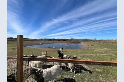 1300 County Road 217, Florence, TX 76527 - Photo 6