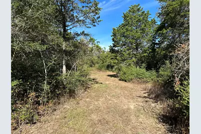 105 Colony Line Trail, Dale, TX 78616 - Photo 12