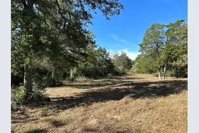 105 Colony Line Trail, Dale, TX 78616 - Photo 8