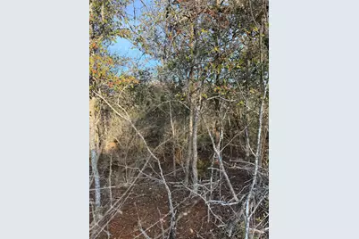 156 and 160 Helemano Drive, Bastrop, TX 78602 - Photo 6