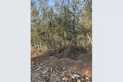 156 and 160 Helemano Drive, Bastrop, TX 78602 - Photo 4