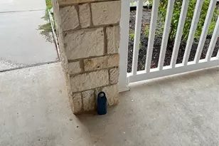 13900 Sage Blossom Dr, Manor, TX 78653 - Photo 4