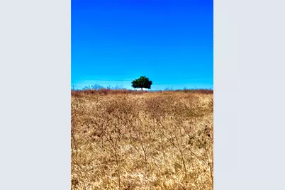 261 Engelke Road, Kingsbury, TX 78638 - Photo 6