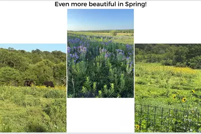 182 Lantana Lane, Maxwell, TX 78656 - Photo 40