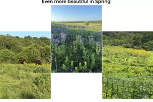 182 Lantana Ln, Maxwell, TX 78656 - Photo 40