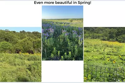 182 Lantana Lane, Maxwell, TX 78656 - Photo 40