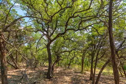2934 Elm Terrace Lane, Wimberley, TX 78676 - Photo 18