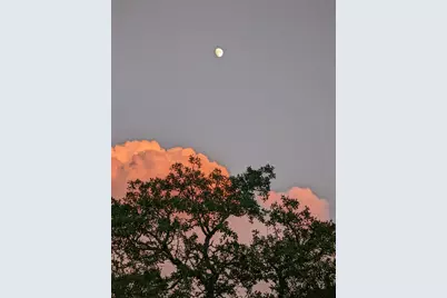 180 Robison Road, Bertram, TX 78605 - Photo 6